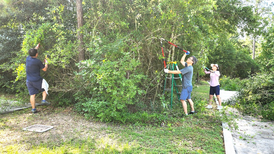 20250531_105151.jpg